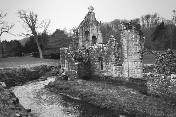 aliciasivert alicia sivertsson Fountains Abbey ruin ruins church monastery priory convent friary henry VIII tudor tudors house buildning black and white ruiner kloster kyrka hus byggnad