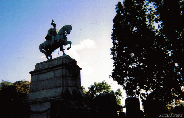 aliciasivert, alicia sivertsson, analog photography, djurgården, djurgarden, sweden, leaves, statue, horse, king, lövverk, löv, analog, analogt fotografi, engångskamera, karl xv, staty, biologiska museet, häst