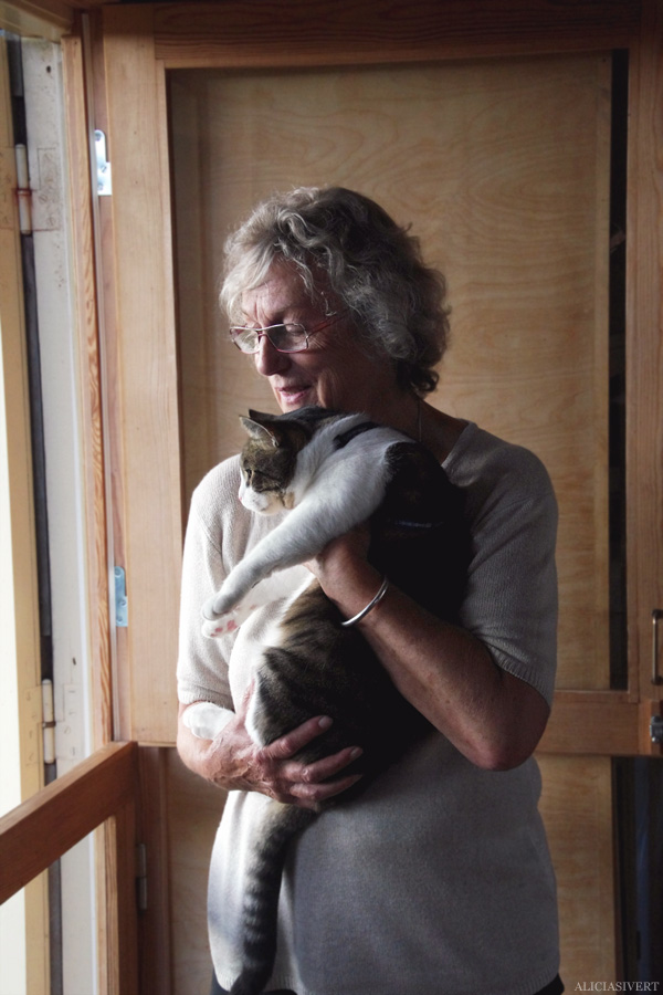 aliciasivert, alicia sivertsson, alicia sivert, mormor, morfar, gotland, semester, grandparents, grandmother, grandfather, grandma, grandpa, morföräldrar, teno, tno, cat, katt