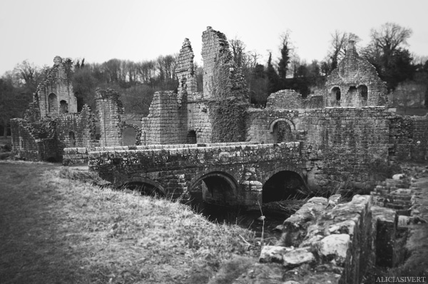 aliciasivert alicia sivertsson Fountains Abbey ruin ruins church monastery priory convent friary henry VIII tudor tudors house buildning black and white ruiner kloster kyrka hus byggnad