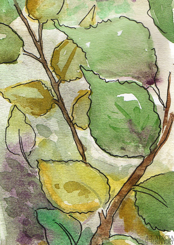 aliciasivert, Alicia Sivertsson, alicia sivert, Eurasian Jay, nötskrika, fågel, garden bird, trädgårdsfågel, paint, painting, aquarelle, akvarell, målning, måla, watercolor, water color, watercolour, colour, vattenfärg, bläck, ink, illustration, skapa, skapande, kreativitet, konst, art, papper