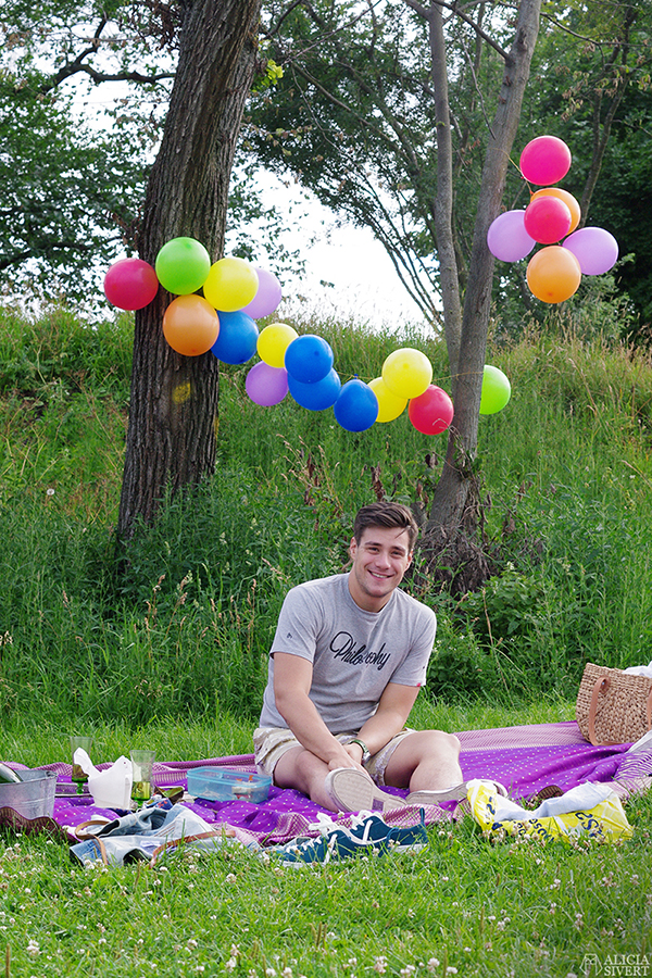 överraskningspicknick överraskning överrasknings picknick picnic surprise romantisk romantic vegetarisk picknickmat mat vegetarian food fest party kalas observatorielunden stockholm celebration celebrate balloons ballonger