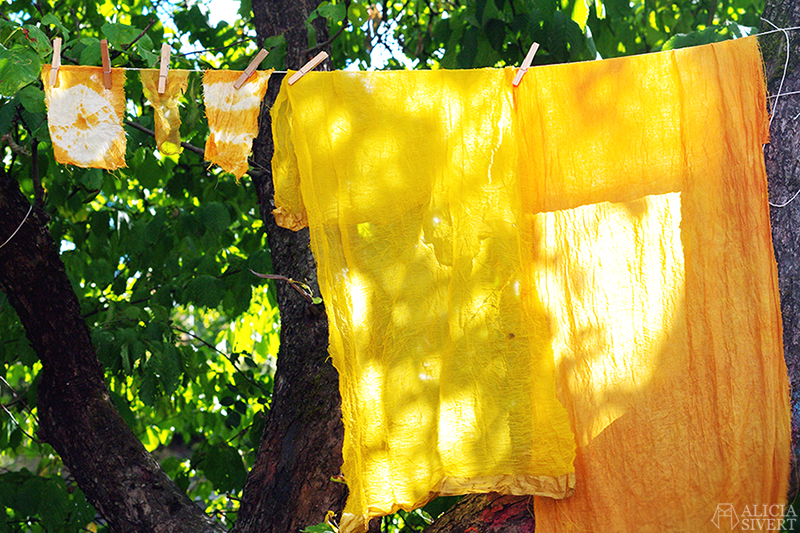aliciasivert alicia sivert alicia sivertsson art lab gnesta lina sofia lundin växtfärgning naturlig färgning färga med växter skapa skapande kreativitet textil textilt hantverk textilhantverk konst textilkonst kurs workshop