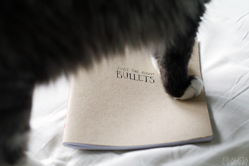 aliciasivert alicia sivertsson sivert bullet journal