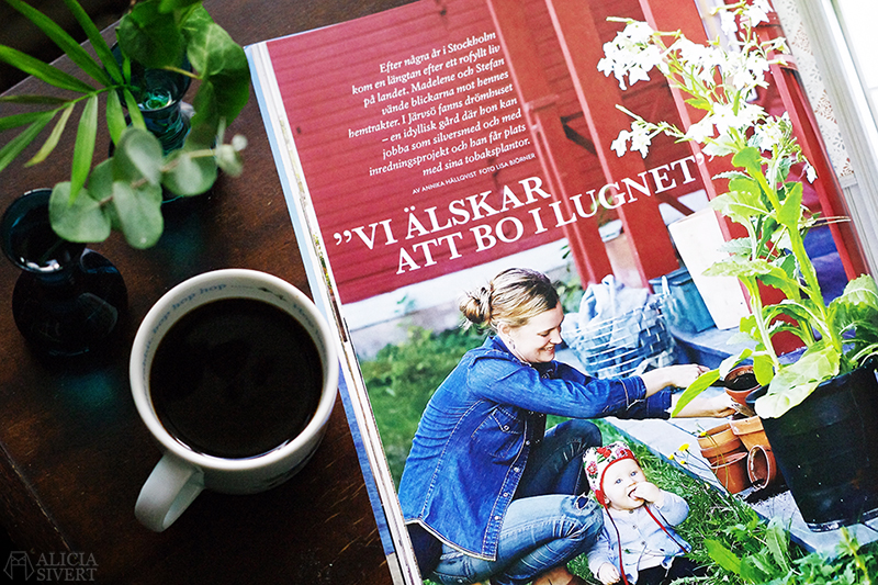 aliciasivert alicia sivert alicia sivertsson lantliv magasin magazine kaffe läsa höstmys reportage