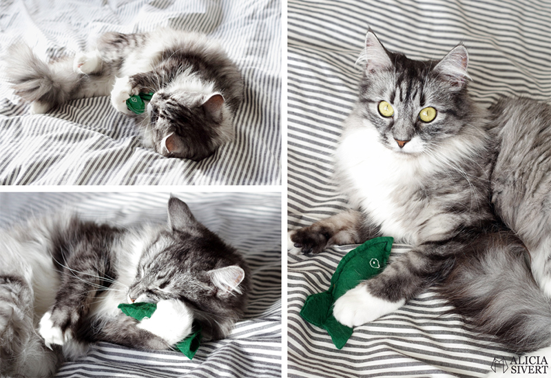 sy kattleksak fisk kattmynta katt katter leksak diy skapa skapande aliciasivert monthly makers