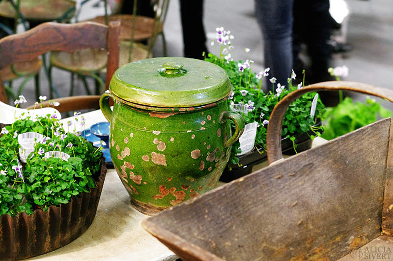 aliciasivert alicia sivert sivertsson trädgårdsmässa stockholmsmässan mässa mässan trädgård trädgårdar odling balkong kruka krukor krukväxt krukväxter odla blommor älvsjö inspiration utställning monter butik urna