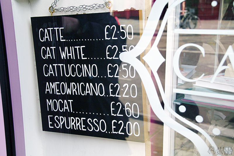 semester resa london england att göra utflykt utflyktsmål cat café kattcafé katt kaffe café katter cats fika see and do