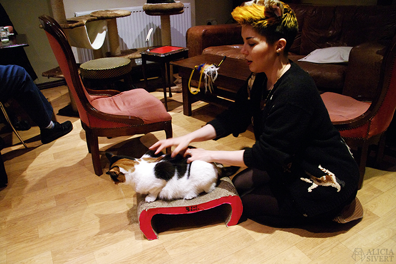 semester resa london england att göra utflykt utflyktsmål cat café kattcafé katt kaffe café katter cats fika see and do