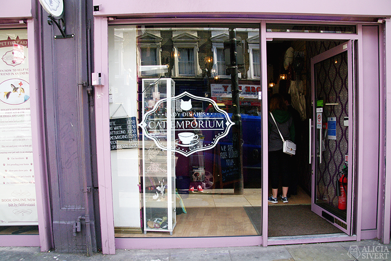 semester resa london england att göra utflykt utflyktsmål cat café kattcafé katt kaffe café katter cats fika see and do