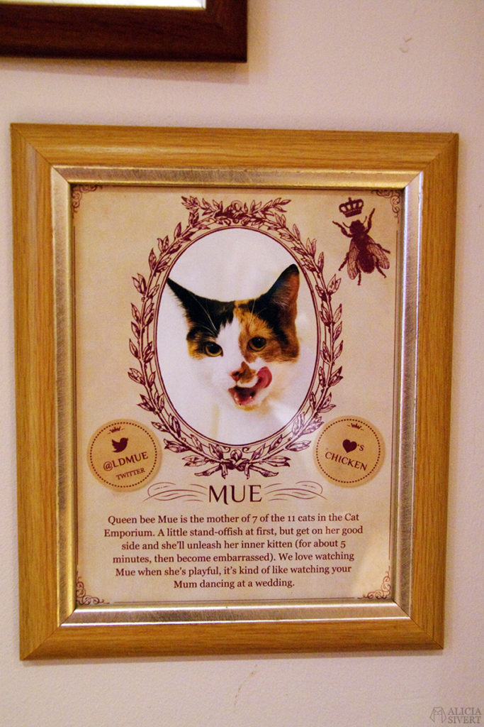 semester resa london england att göra utflykt utflyktsmål cat café kattcafé katt kaffe café katter cats fika see and do