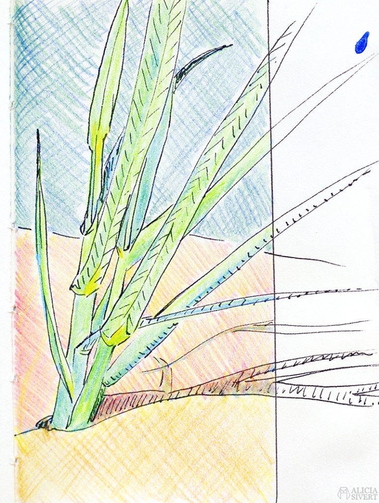 aliciasivert alicia sivert sivertsson målning måla måleri skiss teckning sketch painting vass blad strån gräs sandstrand strand
