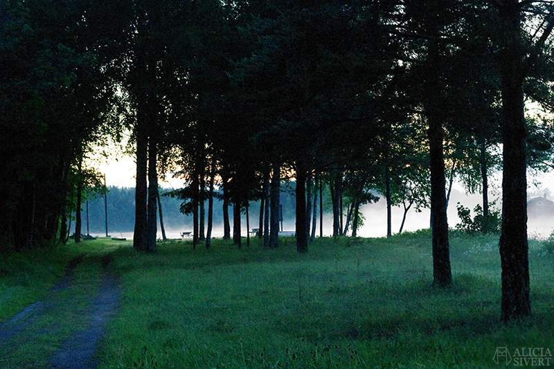 uttersberg dimma fog dusk skymning sommarkväll sommarnatt kväll sjö badplats