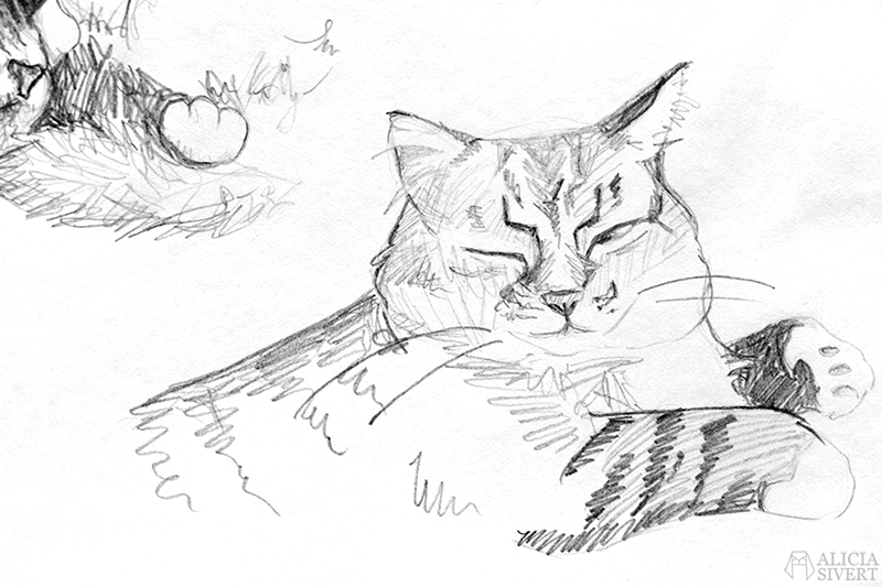 aliciasivert alicia sivert sivertsson konst teckning teckningar skiss skisser rita katt katter katten tofslan illustration skapande