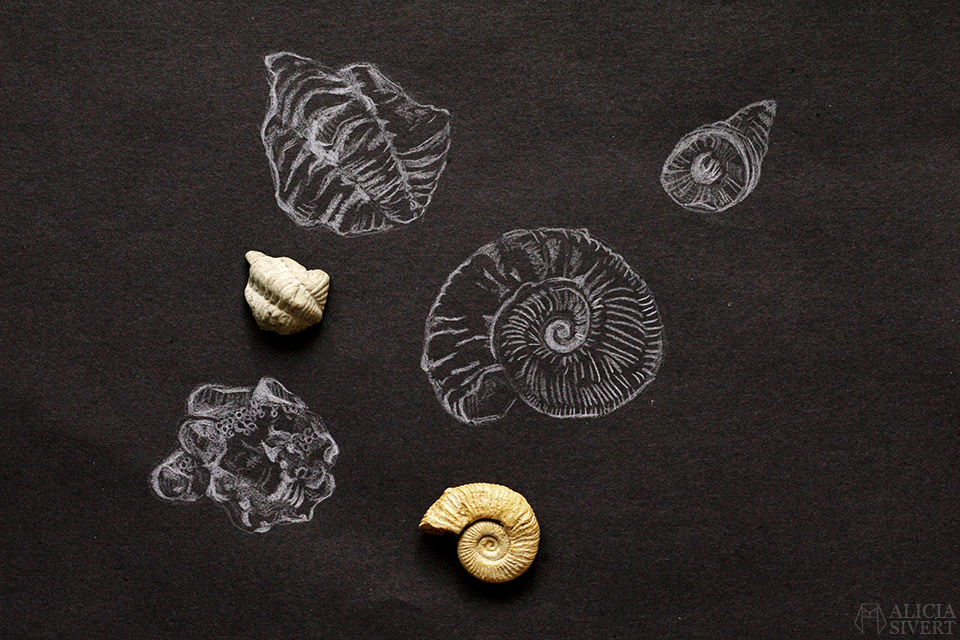 Teckningsutmaningen i juni, foto av Alicia Sivertsson. aliciasivert teckning teckningar teckna rita skiss skissa skapa skapande utmaning kreativitet skaparutmaning bloggutmaning månadsutmaning kreativ penna pennor illustration vitt på svart fossil fossiler