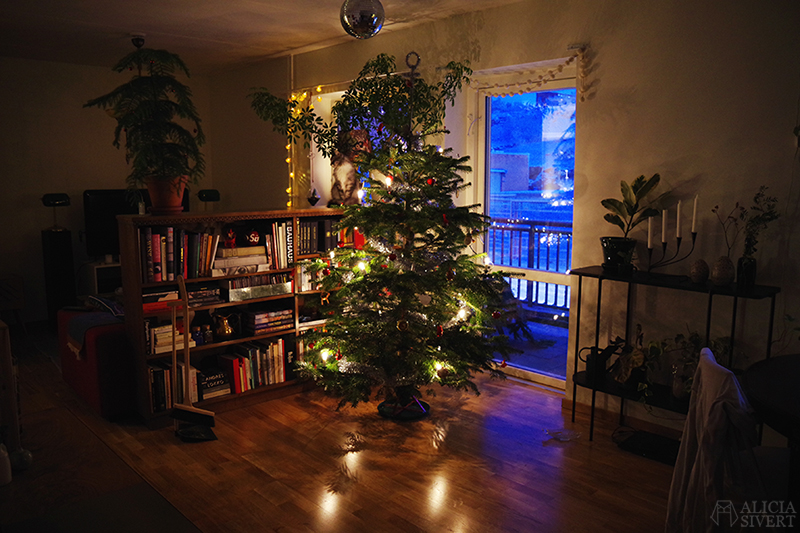 Första julen i nya lyan, foto av Alicia Sivertsson - www.aliciasivert.se julgran aliciasivert.se juliga listan