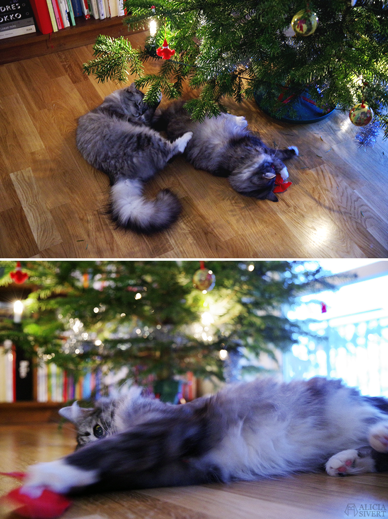 Försenade julkort December jul katt katter kattleksak kattmynta tofslan och vifslan