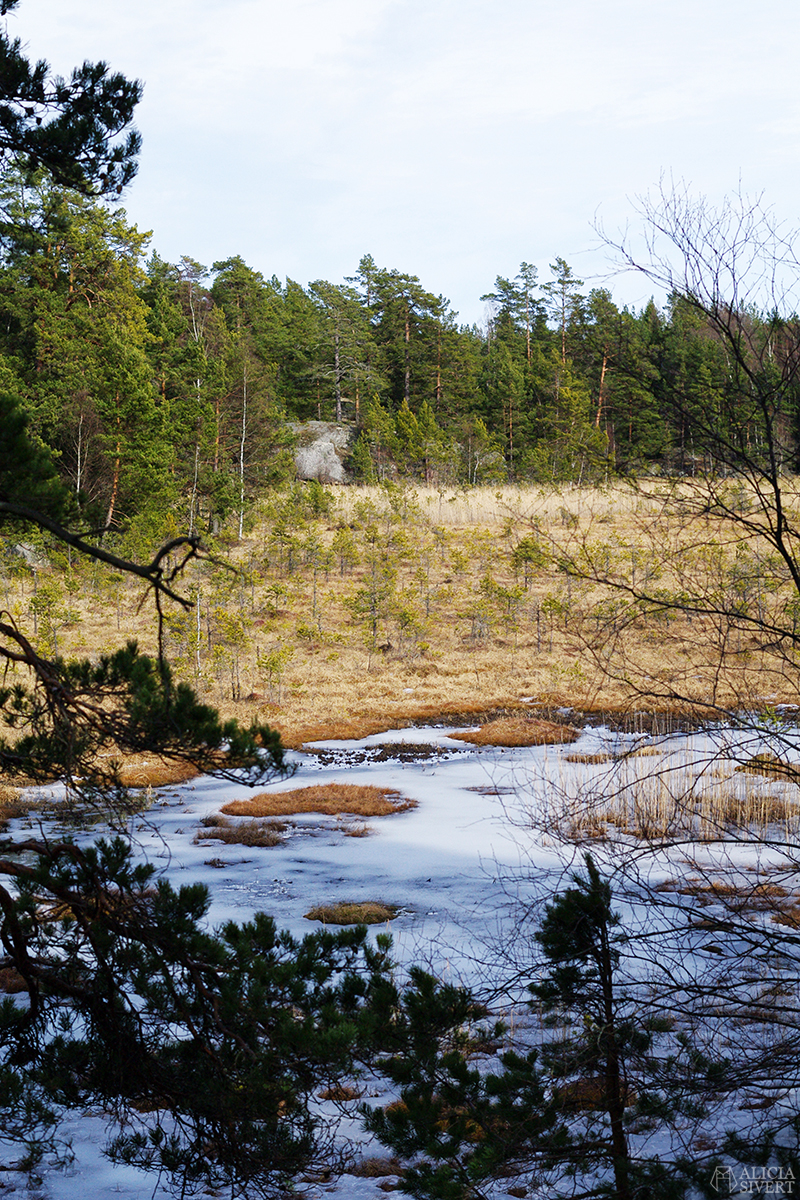 April förra året, promenad runt Kvarnsjön, Gustavsberg - www.aliciasivert.se