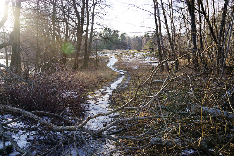 Ösbyrundan, Gustavsberg - www.aliciasivert.se // vårvinter promenad vandring runt Ösby träsk