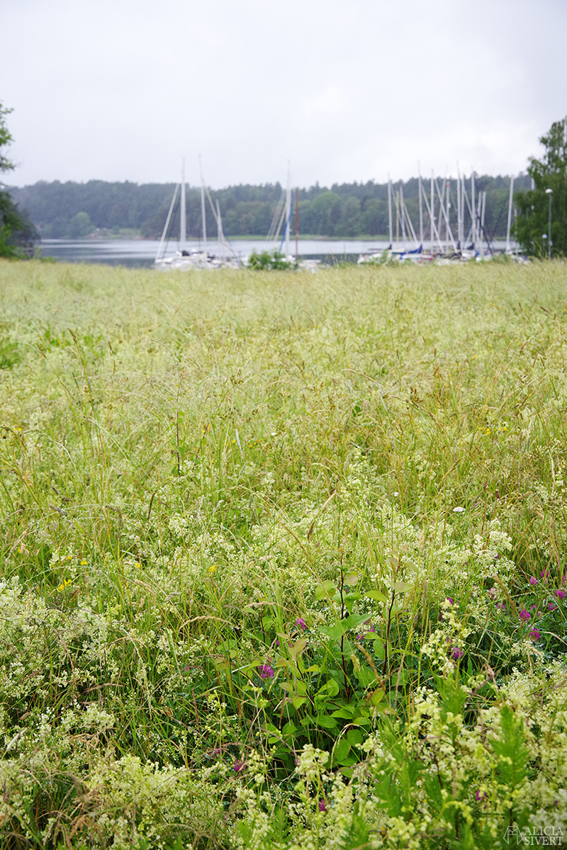 En regnig dag i Gustavsbergs hamn - www.aliciasivert.se