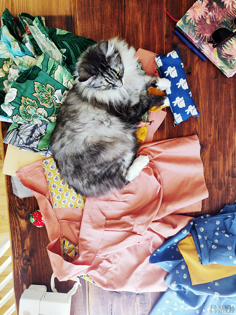 Sybingo20 med Sypeppen. Foto av Alicia Sivertsson - www.aliciasivert.se // sy sybingo sommar kläder klädsömnad katt katten vifslan återbruk återbruksmaterial tyg
