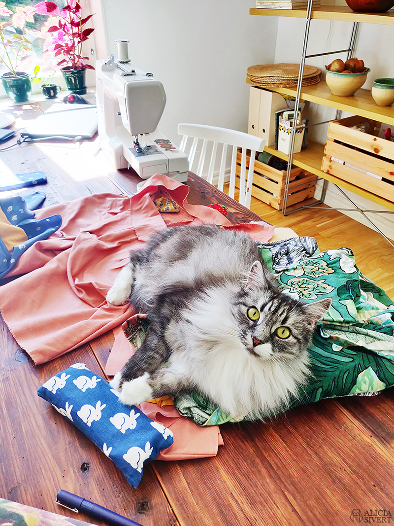Sybingo20 med Sypeppen. Foto av Alicia Sivertsson - www.aliciasivert.se // sy sybingo sommar kläder klädsömnad katt katten vifslan återbruk återbruksmaterial tyg janome easy jeans