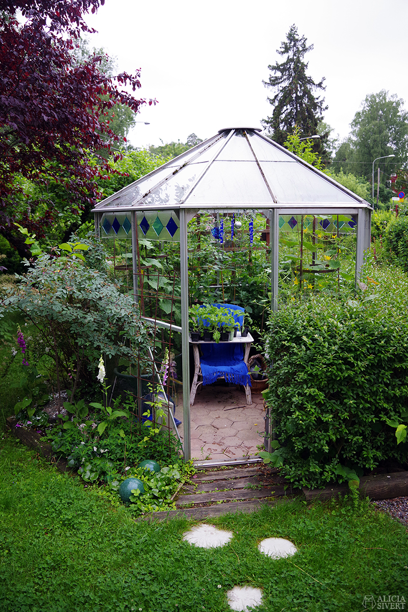 Växthus med blå glasdetaljer.Mammas trädgård - www.aliciasivert.se