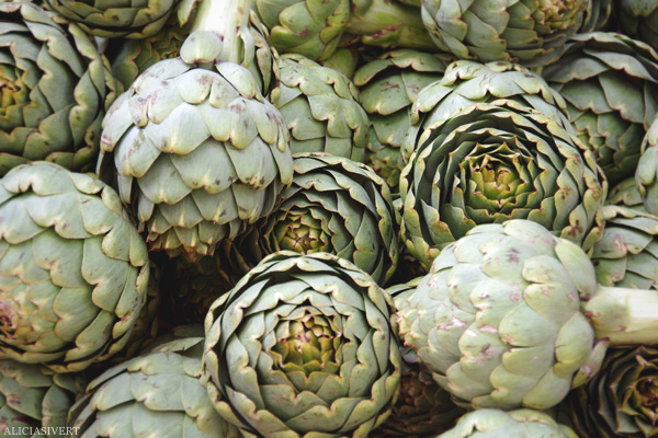 aliciasivert, alicia sivertsson, Le Nebourg, market day, kronärtskocka, grönsaker, grönsak, artichoke, vegetables