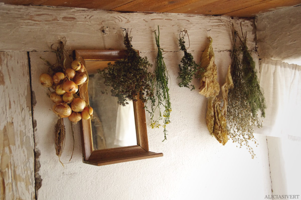 aliciasivert, alicia sivertsson, skansen, skansens höstmarknad, market, autumn, herbs, örter