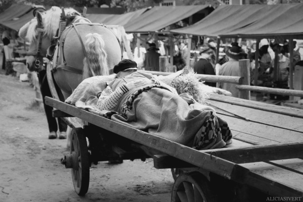 aliciasivert, alicia sivertsson, skansen, skansens höstmarknad, market, autumn, utklädd, utklädnad, dressed up, sleeping, sover, häst och vagn, horse, carriage