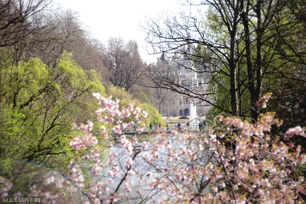 aliciasivert, alicia sivertsson, london, england, St. james's park, spring, vår