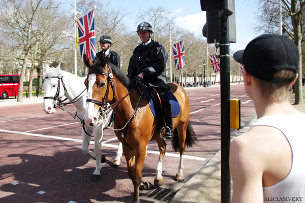 aliciasivert, alicia sivertsson, london, england, union jack, the mall, ridande poliser, cops, police, horse, horses, police horses, polishästar