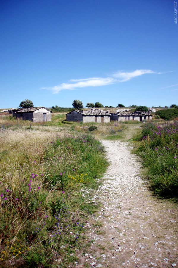 aliciasivert, alicia sivertsson, alicia sivert, gotland, semesterlivet, semester, holmhällar, fiskebod, natur