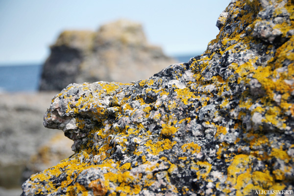 aliciasivert, alicia sivertsson, alicia sivert, gotland, semesterlivet, semester, landet, raukar, ö, hav, natur, ocean, sea, island, rocks, nature, sea stack