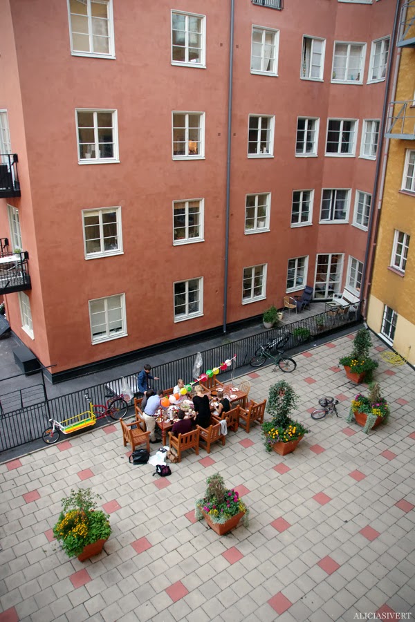 kribblor, dillpynt och palmklättrande pansarspindlar med klor