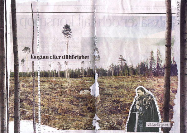 aliciasivert, alicia sivertsson, collage, boromir, längtan efter tillhörighet, longing for belonging, trees, träd, kalhygge