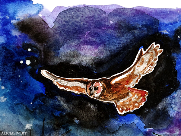 aliciasivert, alicia sivert, alicia sivertsson, aquarelle, akvarell, painting, målning, watercolor, watercolour, water color, colour, owl, uggla, kattuggla, ugglevandring djurgården, stockholms ornitologiska förening