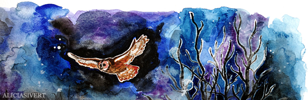 aliciasivert, alicia sivert, alicia sivertsson, aquarelle, akvarell, painting, målning, watercolor, watercolour, water color, colour, owl, uggla, kattuggla, ugglevandring djurgården, stockholms ornitologiska förening