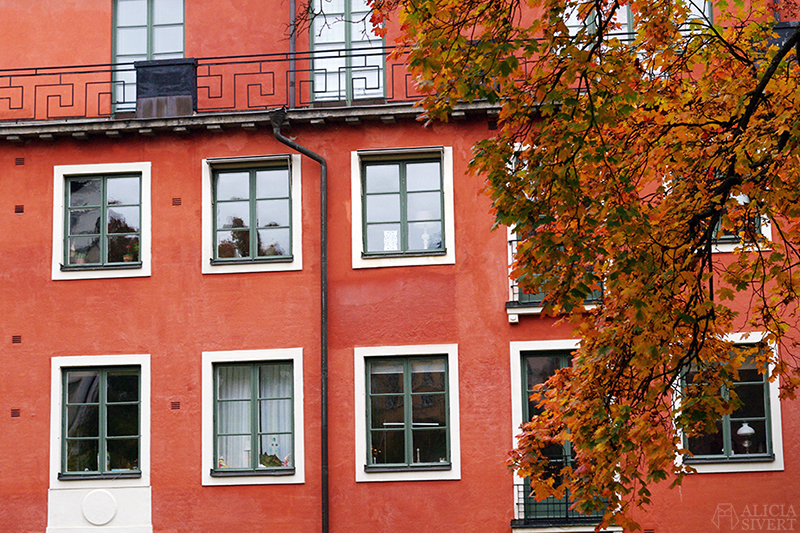 aliciasivert alicia sivert alicia sivertsson höst autumn djurgården stockholm oktober october promenad walk yellow leaf leaves gula löv blad