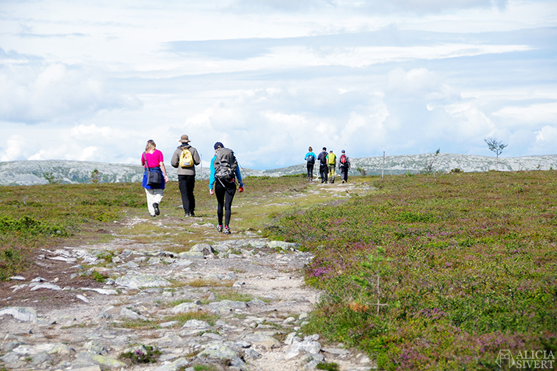 på vandring i Jämtland: Storhågna