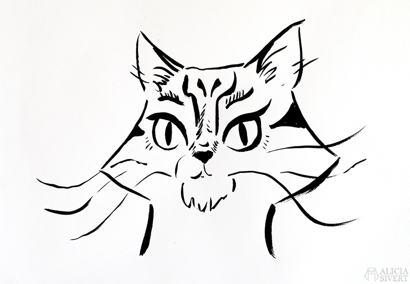 alicia sivert sivertsson aliciasivert konst konstverk teckning teckningar drawing drawings art tusch ink bläck kreativitet skapa skapande katt cat portrait porträtt skiss studie katten vifslan