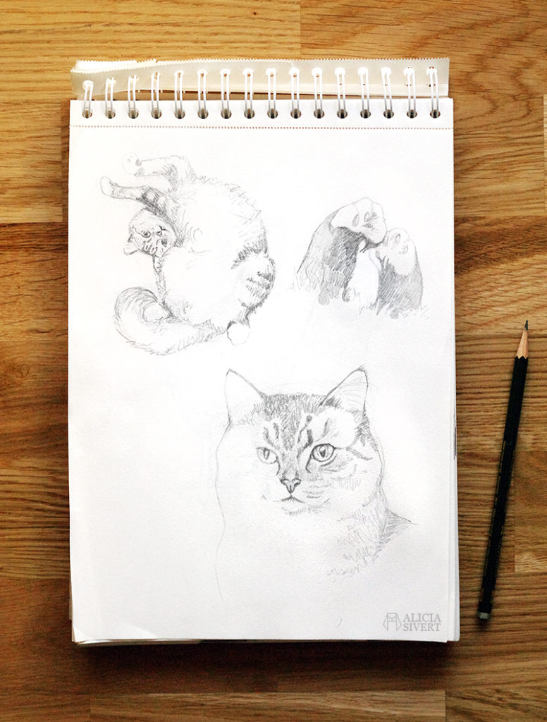 aliciasivert alicia sivert sivertsson konst teckning teckningar skiss skisser rita katt katter katten tofslan illustration skapande