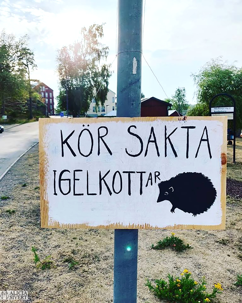 aliciasivert.se alicia sivert aliciasivert sivertsson varningsskylt varningsskyltar skylt skyltar igelkott igelkottar diy gör det själv warning sign hedgehogs