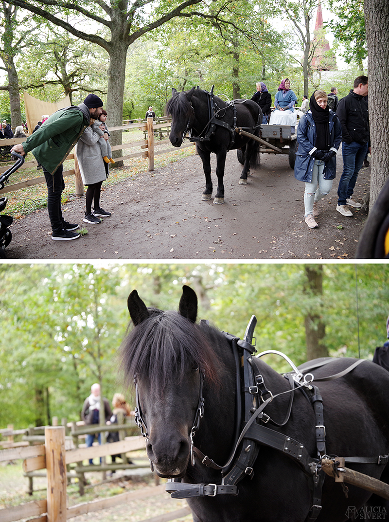 Skansens höstmarknad 2018, Skansen, marknad, höst, 1900-tal, sekelskifte, häst och vagn