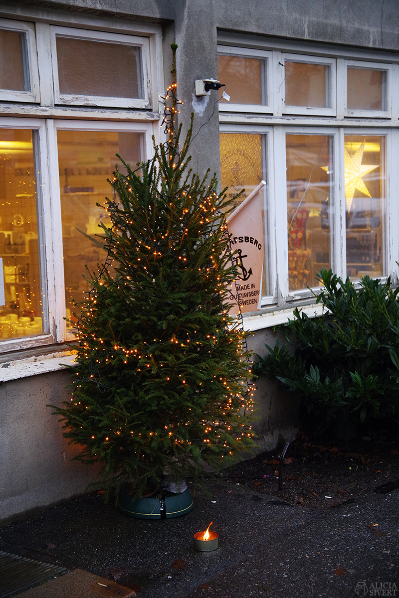 Julgran utanför porslinsfabriken. Första advent i Gustavsberg. Foto av Alicia Sivertsson - aliciasivert.se