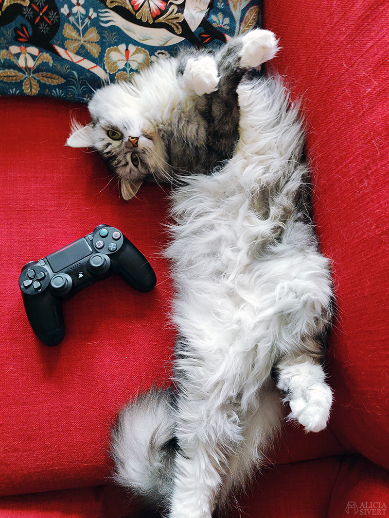 Katten Tofslan och Playstationkontrollen - www.aliciasivert.se Mars är - www.aliciasivert.se // katten Tofslan playstation-kontroll