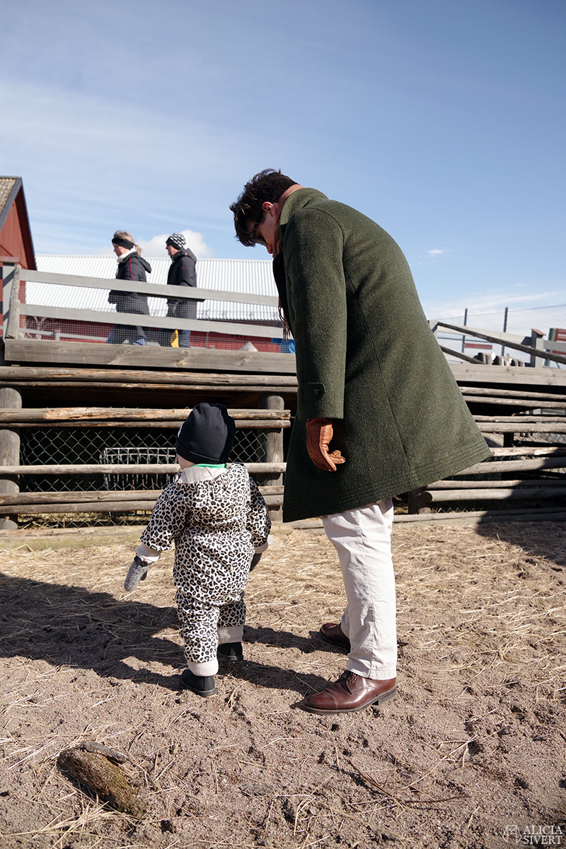 Rönninge by i Täby, foto av Alicia Sivertsson - www.aliciasivert.se // Andreas klapphage getter