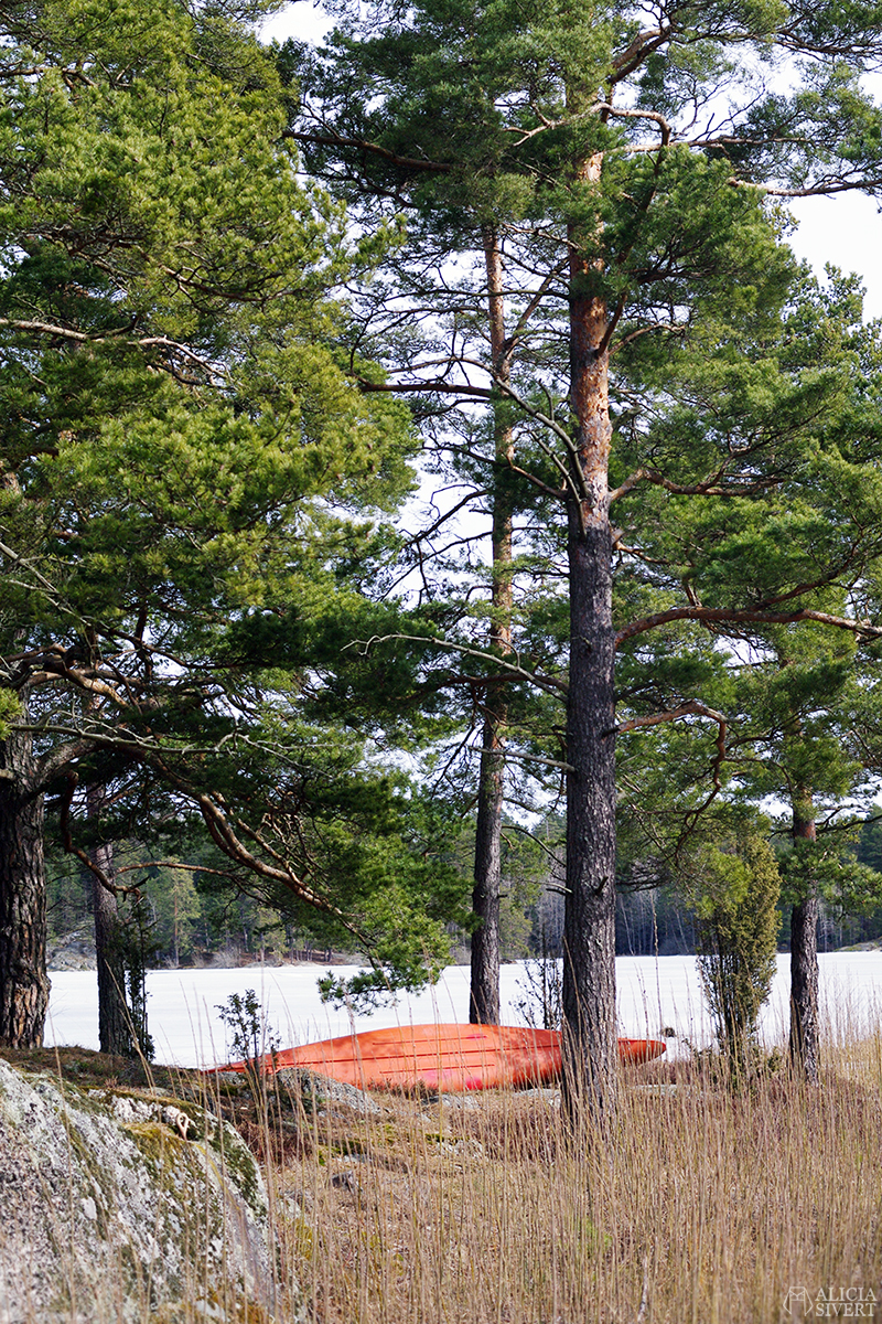 April förra året, promenad runt Kvarnsjön, Gustavsberg - www.aliciasivert.se