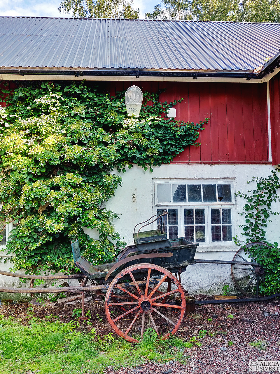 Vagn mot ladugård, Norrängens alpackagård - www.aliciasivert.se