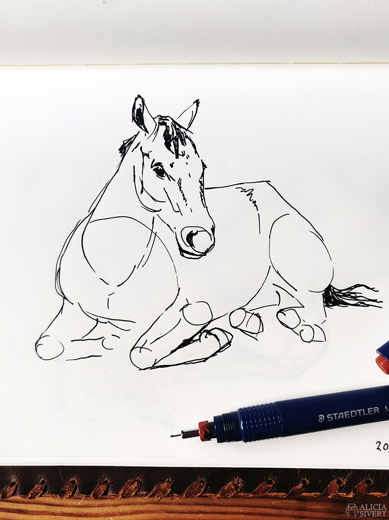 Teckning i ritbok av en häst som ligger ner. Tuschpenna Staedtler Mars Matic 0,5 syns i bild och har använts till teckningen. Den kreativa första semesterveckan - www.aliciasivert.se